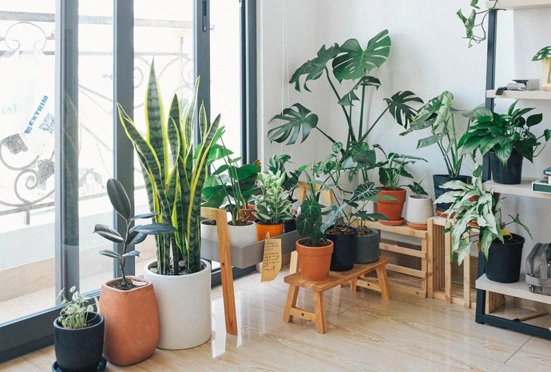 Adopt houseplants will increase humidity in an air-conditioned room
