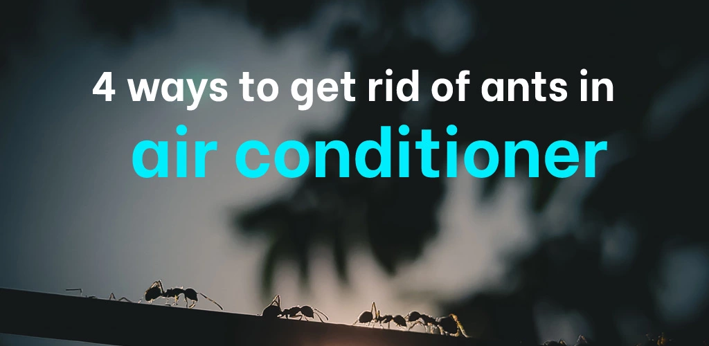 4 ways to get rid of ants in air conditioner