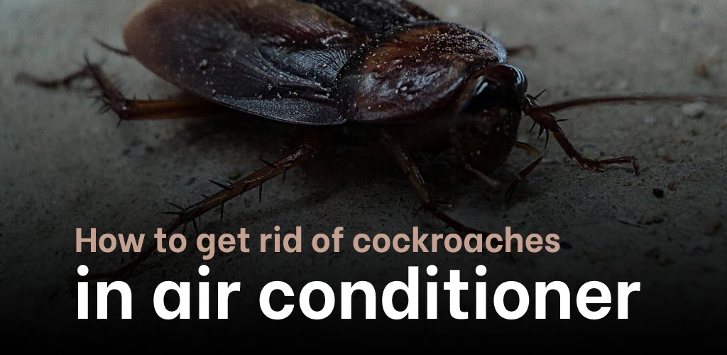 How to get rid of cockroaches in air conditioner