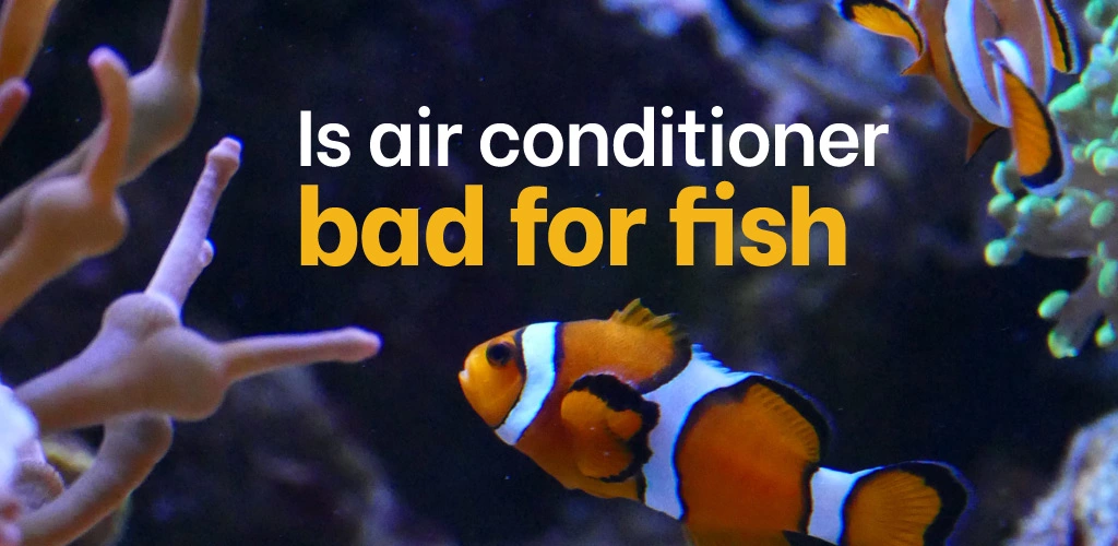 Is air conditioner bad for fish