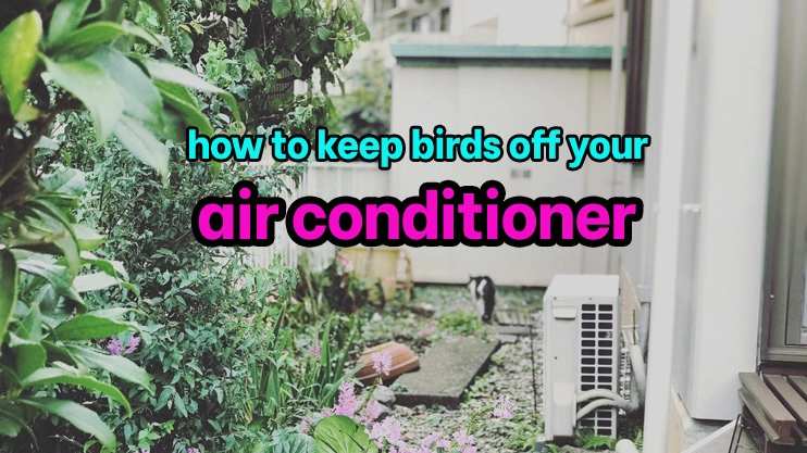 how to keep birds off your air conditioner