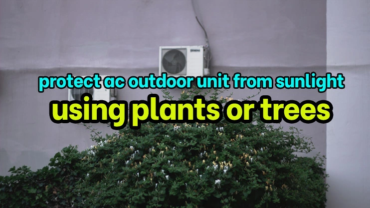 protect ac outdoor unit from sunlight using plant or trees