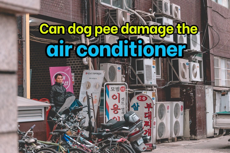 Can dog pee damage the air conditioner