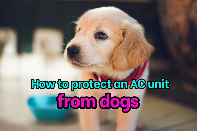 How to protect an AC unit from a dog