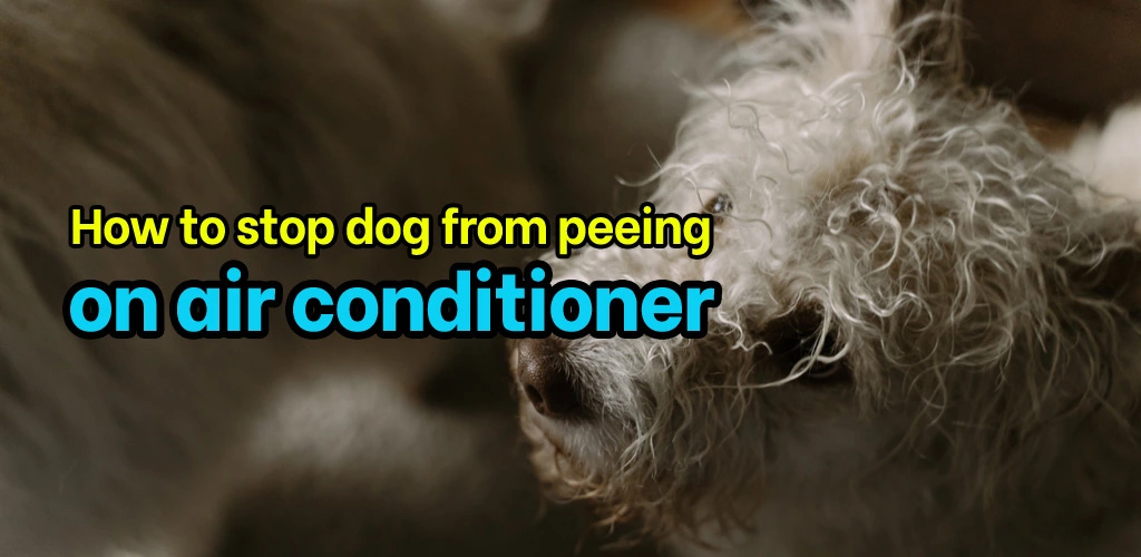 How to stop dog from peeing on air conditioner